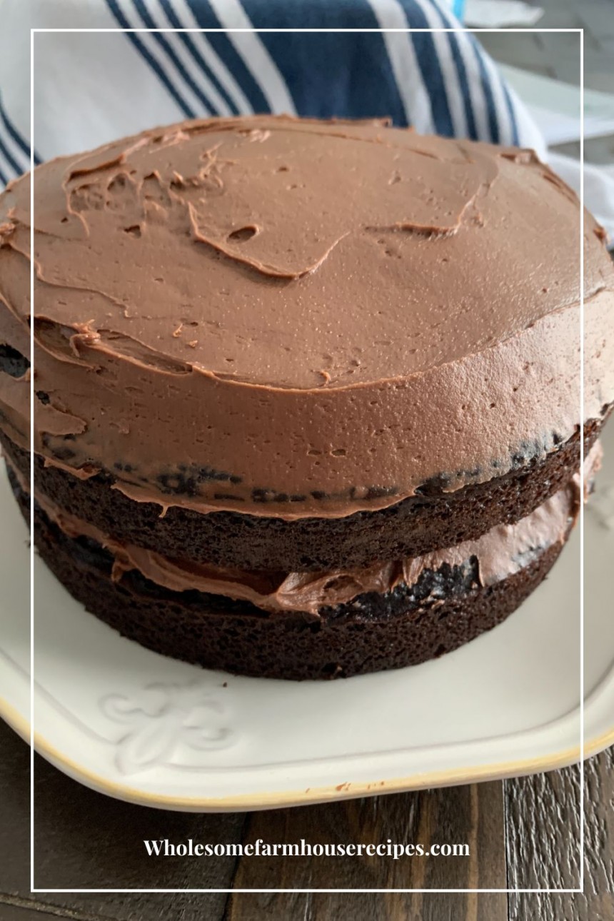 Moist Chocolate Cake with Peanut Butter Frosting