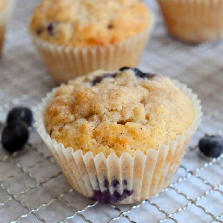 Moist Blueberry Muffins