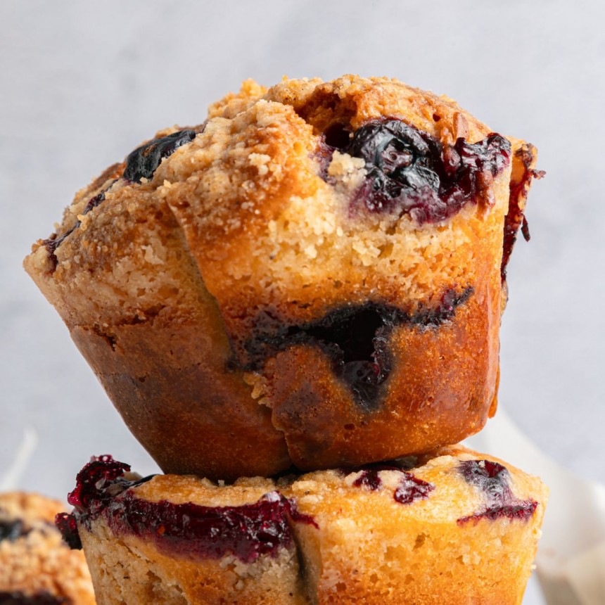 Blueberry Yogurt Muffins